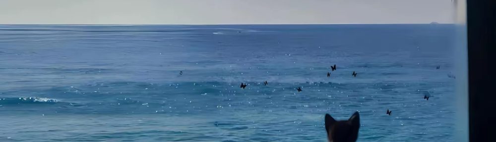 27：赞美耶和华